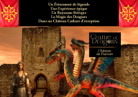 AFFICHE A3 DRAGONS